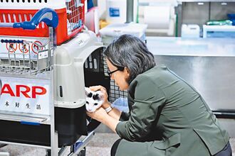 別拿貓騙選票了！