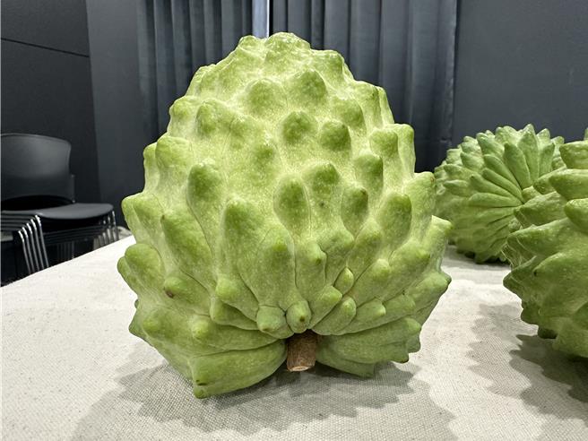 台湾释迦外销传出好消息。（蔡旻妤摄）