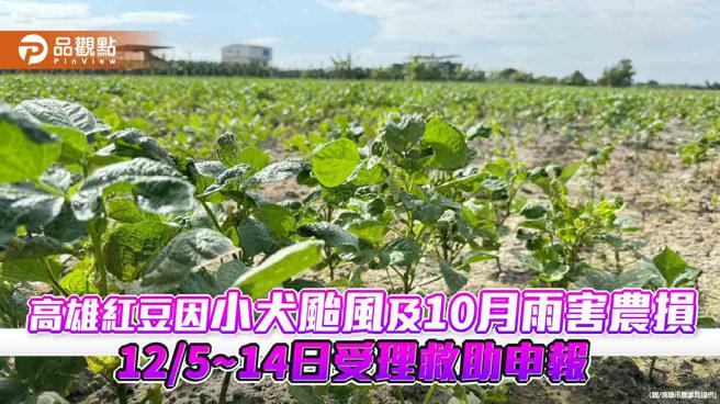 高雄红豆因小犬颱风及10月上旬雨害迟发农损  12/5~14日受理救助申报