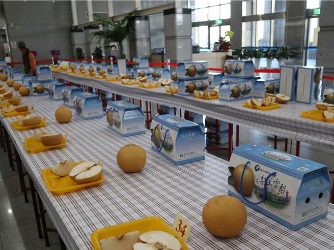 「台中市优质雪梨果品评鑑」5日在阳明市政大楼举行，共60组农友报名参赛。（陈淑娥摄）