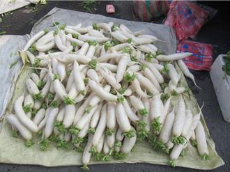 美濃白玉蘿蔔盛產  蜜汁蘿蔔潤肺助消化