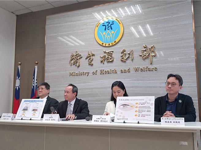 食药署鑑定发现，这只河豚品种为「月尾兔头鲀」，台湾四周海域都有，内臟、皮肤、肌肉皆有毒，毒性极强。在死者食用的生鱼片中，检出134.30 ppm毒素，每片鱼肉约有10g，换算起来每片毒素1.34ppm，两片就达致死剂量。（林周义摄）