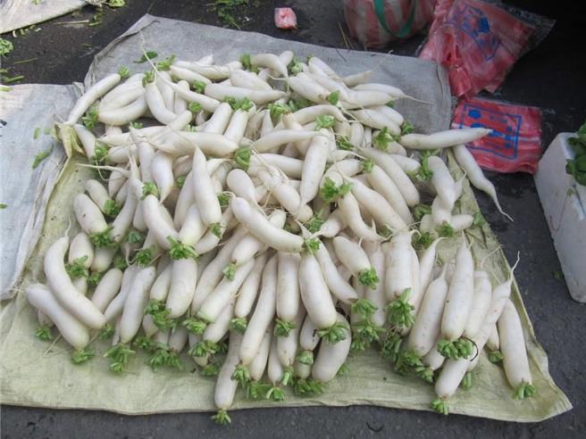 美浓白玉萝卜今年受到秋颱影响，整体种植时期延后，现在是白玉萝卜盛产期，当地不少婆婆妈妈们将萝卜切成条或刨成丝，再揉盐、日晒成萝卜丝，做成萝卜丝煎蛋。（邱国源提供／林雅惠高雄传真）