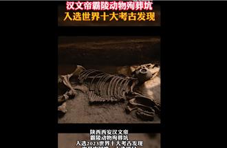 漢文帝霸陵動物殉葬坑 入選2023世界十大考古發現