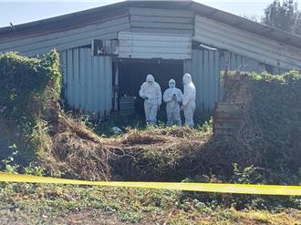 竹南养鹅场爆发H5N禽流感 动防所将扑杀1800只