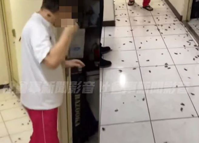 桃园芦竹某大楼内，其中1间住宅内，房客一把门打开，大量的小强全跑出来。（图／翻摄自社会事新闻影音）