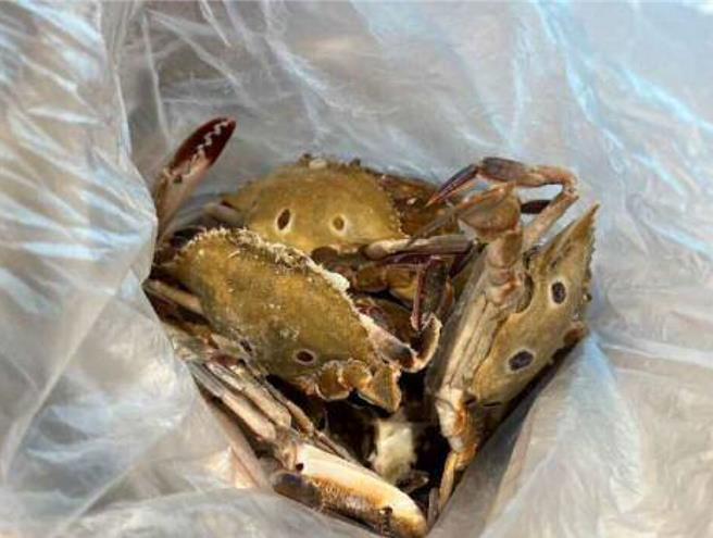 台北市卫生局7日公布生鲜水产品第3波抽验专案结果，1件初验不合格，六福万怡酒店「叙日全日餐厅」供应的冷冻三点蟹，被验出超标的镉。（卫生局提供／蔡佩珈台北传真）