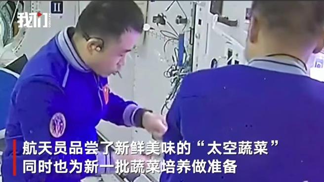神17太空人收成蔬菜画面公布，太空人边摘边吃。（新京报视频截图）