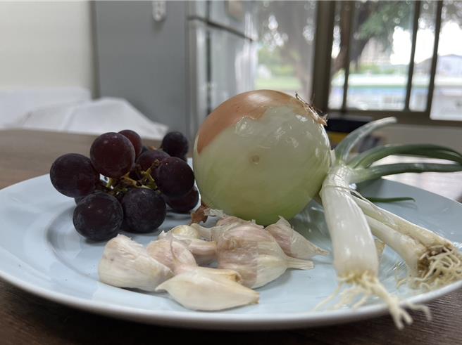 寵物不可吃的食材如葡萄、洋蔥、蒜頭及蔥。（新北市動保處提供）