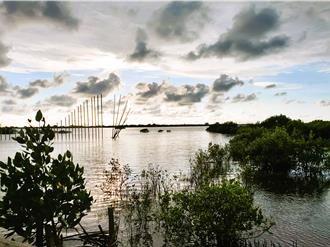 雲林擁2處「重要溼地」！縣府做一事提升生物多樣性