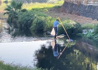 台南竹溪驚見百公斤死魚！水利局曝可能死因