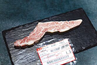 Joss Life引進 黑毛和種A5肋眼眉