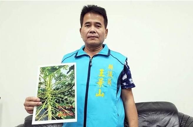 国民党屏东县议员王景山父子与庄姓男子合开堆肥厨余回收公司，疑似处理量能不足，恶意在屏东多处倾倒298车次堆肥厨余，一审均获缓刑，上诉至高雄高分院，法官认为屏东多处农地散发恶臭，必须大量换土才能回復原状，改判3人1年9月至1年10月不等刑期，可上诉。（本报资料照片）