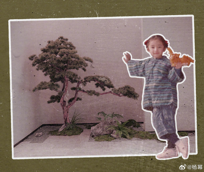 杨幂小时候的长相跟现在差异不大。（图／微博@杨幂）