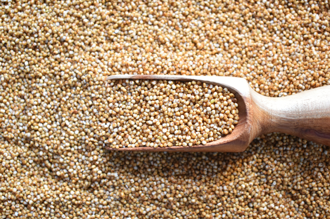 大陸河南洛陽發現隋朝興建的糧倉「含嘉倉城遺址」，其中一座倉窖內還放有千年前的小米。(示意圖/達志影像)