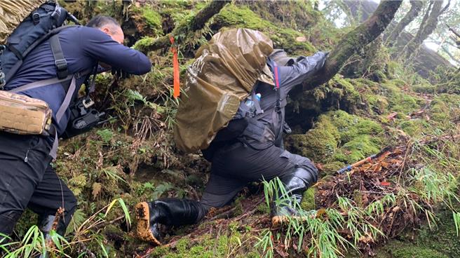 执行深山特遣，山区原始林木，地势陡峭。（林业及自然保育署花莲分署提供／王志伟花莲传真）