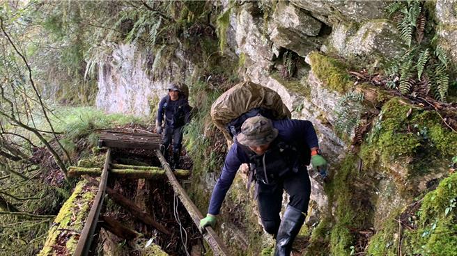执行深山特遣，山区原始林木，地势陡峭。（林业及自然保育署花莲分署提供／王志伟花莲传真）