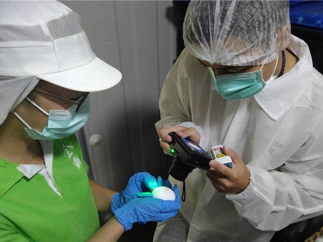 新北市日前因「混蛋液」風暴暫緩學校午餐使用液蛋食品，指出經與台北市、桃園市與基隆市討論後，即日起有條件開放學校午餐可使用具CAS台灣優良農產品標章之殺菌液蛋產品。（新北市府提供）