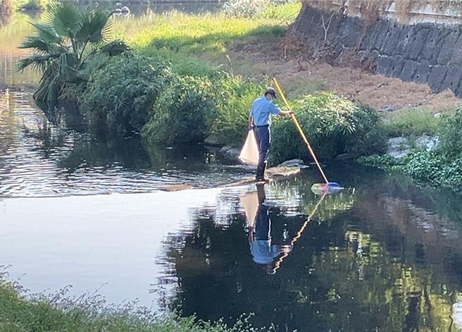 台南市南区的竹溪8日凌晨陆续被发现有死鱼，水利局委外人员截至下午陆续打捞百余公斤的死鱼，以吴郭鱼居多。(台南市水利局提供／曹婷婷台南传真)