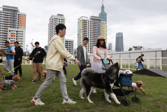 周末日夜温差16度！下周变天转雨 大跌8度