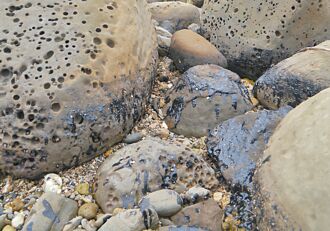 台東1周2次驚見海上油汙 疑輪船偷排