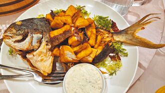 養殖海魚上桌 澎湖優鮮最佳伴手禮