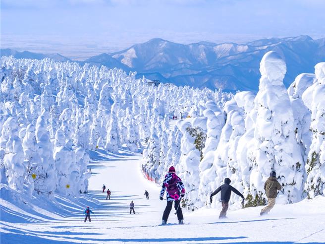 日本山形縣的藏王溫泉滑雪場是許多旅人熱愛的景點。（華航提供）