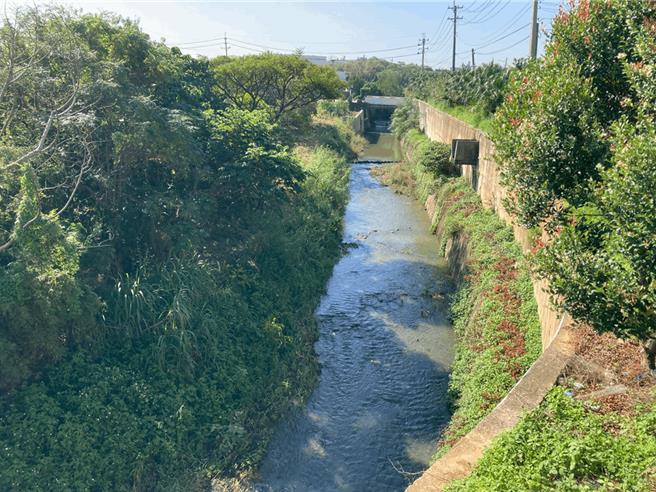 桃園市水務局辦理大園區和平支線和平一號橋下游溪洲段537地號新建護岸工程，圖為改善前。（水務局提供／蔡明亘桃園傳真）