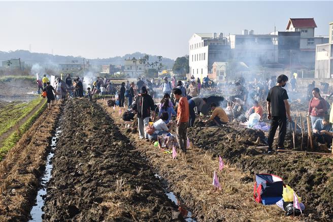 頭份市公所舉辦親子焢窯，3千人擠爆尖下里田野。（謝明俊攝）
