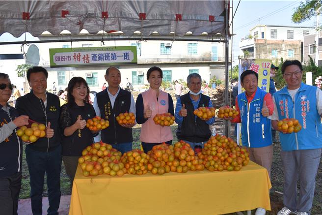 頭份市公所舉辦親子焢窯活動，苗栗縣副議長張淑芬推銷在地生產柑橘。（謝明俊攝）
