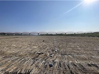 濁水溪沙洲浮現！第四河署鋪稻草防東北季風