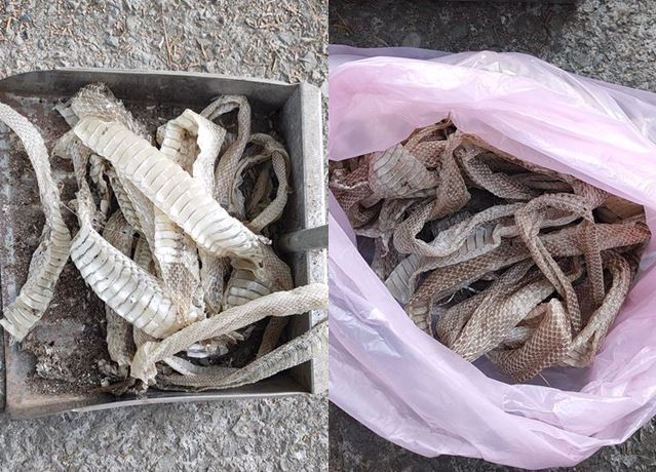 有男子在家中的天花板上，扯下一袋蛇皮，嚇得他上網求助。（圖／翻攝自臉書爆料公社）