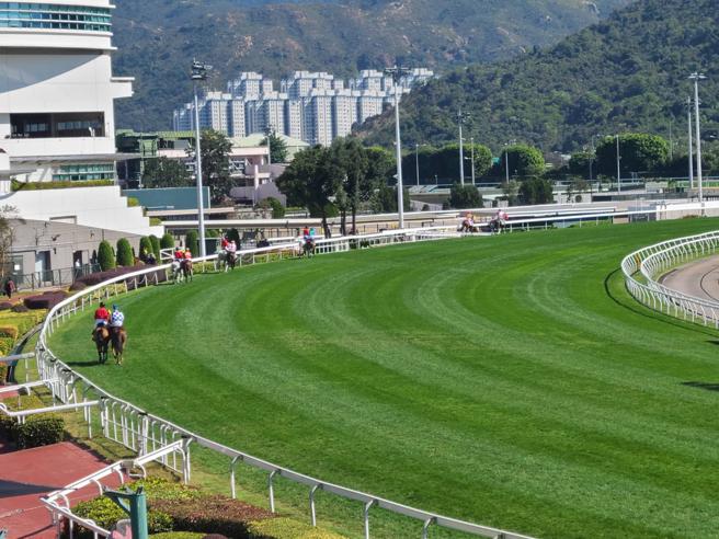 浪琴香港國際賽事於香港沙田馬場登場。（陶福媛攝）
