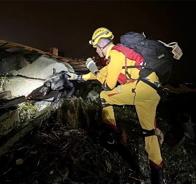 领犬员温智钦及搜救犬CLAY参与认证情形。（新竹市消防局提供／陈育贤新竹传真）