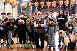 300年城隍廟首推「寵物平安燈」 飼主排隊搶點老廟變身動物園