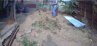 受雇拆鴿舍！工人拋 15公斤梁柱   屋主站樓下慘遭砸死