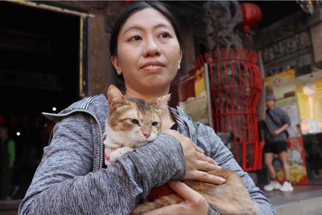 今來點燈的寵物中，包括1隻惹人愛憐的癱瘓貓咪「美金」。（呂妍庭攝）