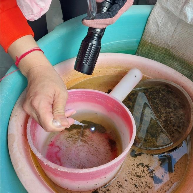 台南本土登革熱12日新增7例確診病例，已連續2天維持個位數，累計病例數2萬1372例。(台南市衛生局提供／曹婷婷台南傳真)