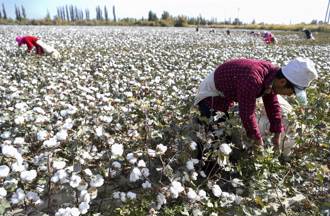 3中企遭美列維吾爾強迫勞動預防法實體清單 陸商務部表強烈不滿