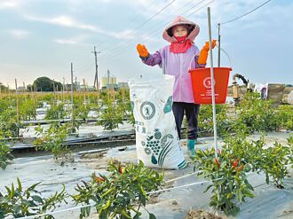 台肥：肥料供應無虞 農友可安心