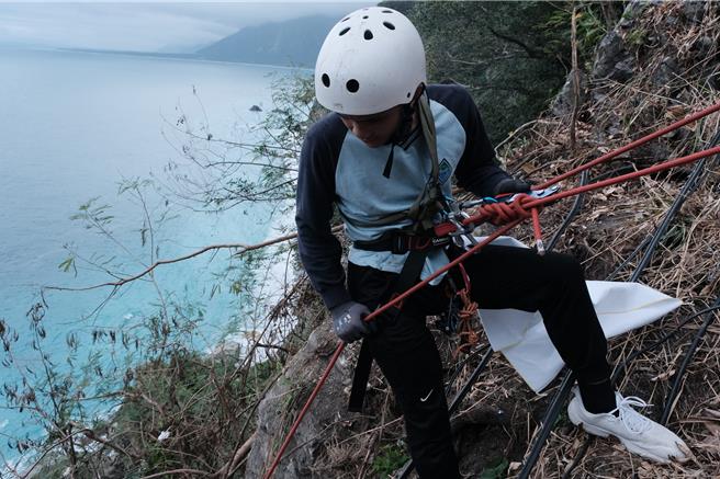 花蓮縣秀林國中「繩索隊」12日以繩索垂降方式，到蘇花公路沿途知名景點「清水斷崖」淨山，學生們宛如「蜘蛛人」，在峭壁爬上爬下，不放過每一個破壞山林的垃圾。（駱昌宏提供／羅亦晽花蓮傳真）