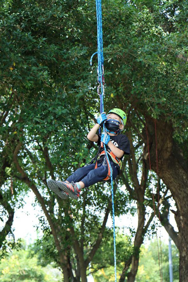 攀樹體驗能讓民眾看見養護樹木的專業性，同時也能親近大自然，認識不同樹種。（圖片來源：嘉義縣農業處提供）