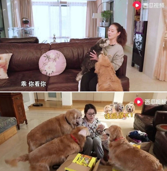 周海媚曾开厢豪宅，被发现是隐藏富婆，引起网友热议。（图／摘自西瓜视频）