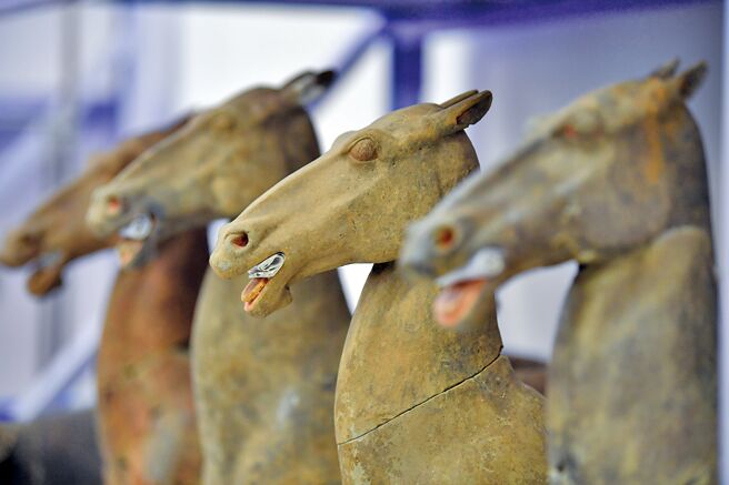 西安漢文帝霸陵發現的動物殉葬坑，因發現丹頂鶴等40種珍奇動物骨骼，被《考古Archaeology》雜誌評選為2023世界十大考古發現之一。（新華社）