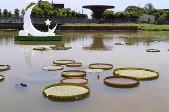 最強農場不是清境！冠軍出爐是它 9個月吸187萬人