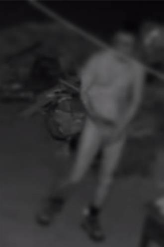 暗光「鳥」出沒！沙鹿景觀步道暗夜驚見全裸男「遛鳥」巡山