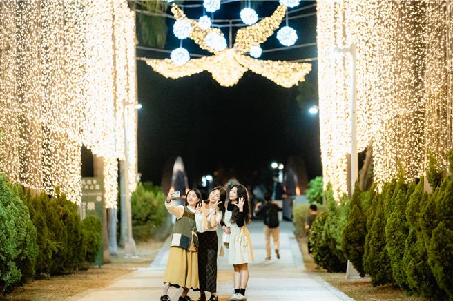 中央公園聖誕光環境佈置。（高雄市政府文化局提供）