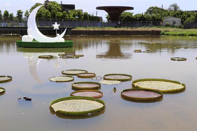 桃園市觀音區蓮花園休閒農業區今年前9個月吸引187萬人次造訪，拿下「休閒農場」類別冠軍。（資料照片／蔡明亘攝）