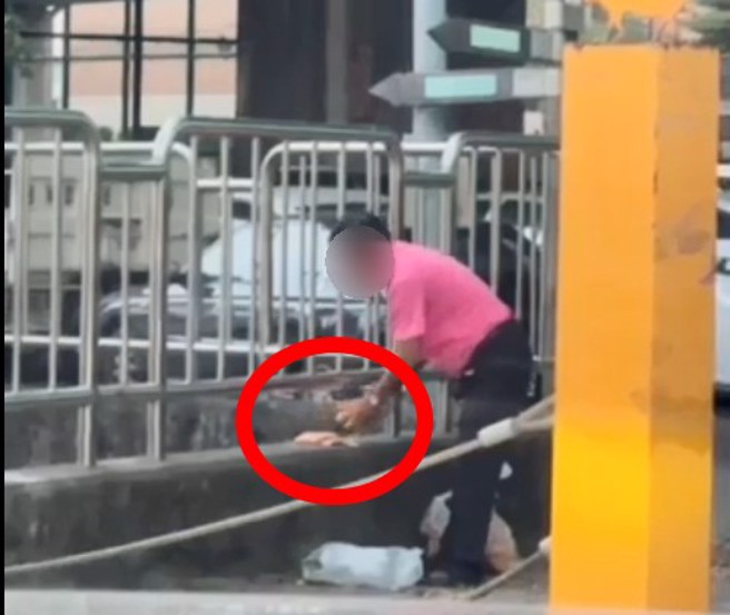 网友指控画面中的男子，长期丢吐司到溪流污染环境。（翻摄爆料公社）