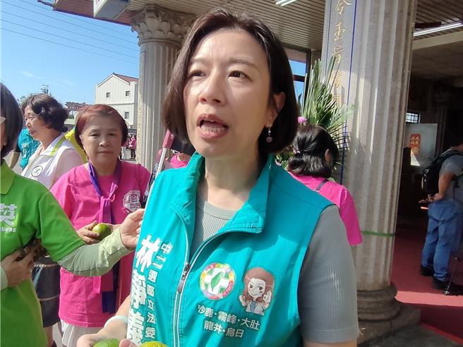 民進黨台中二選區立委參選人林靜儀。（潘虹恩攝）